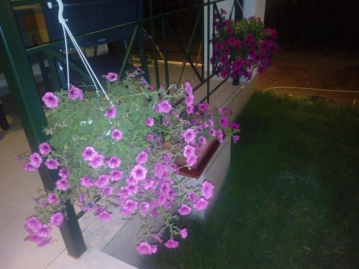 Ioannas Holiday home